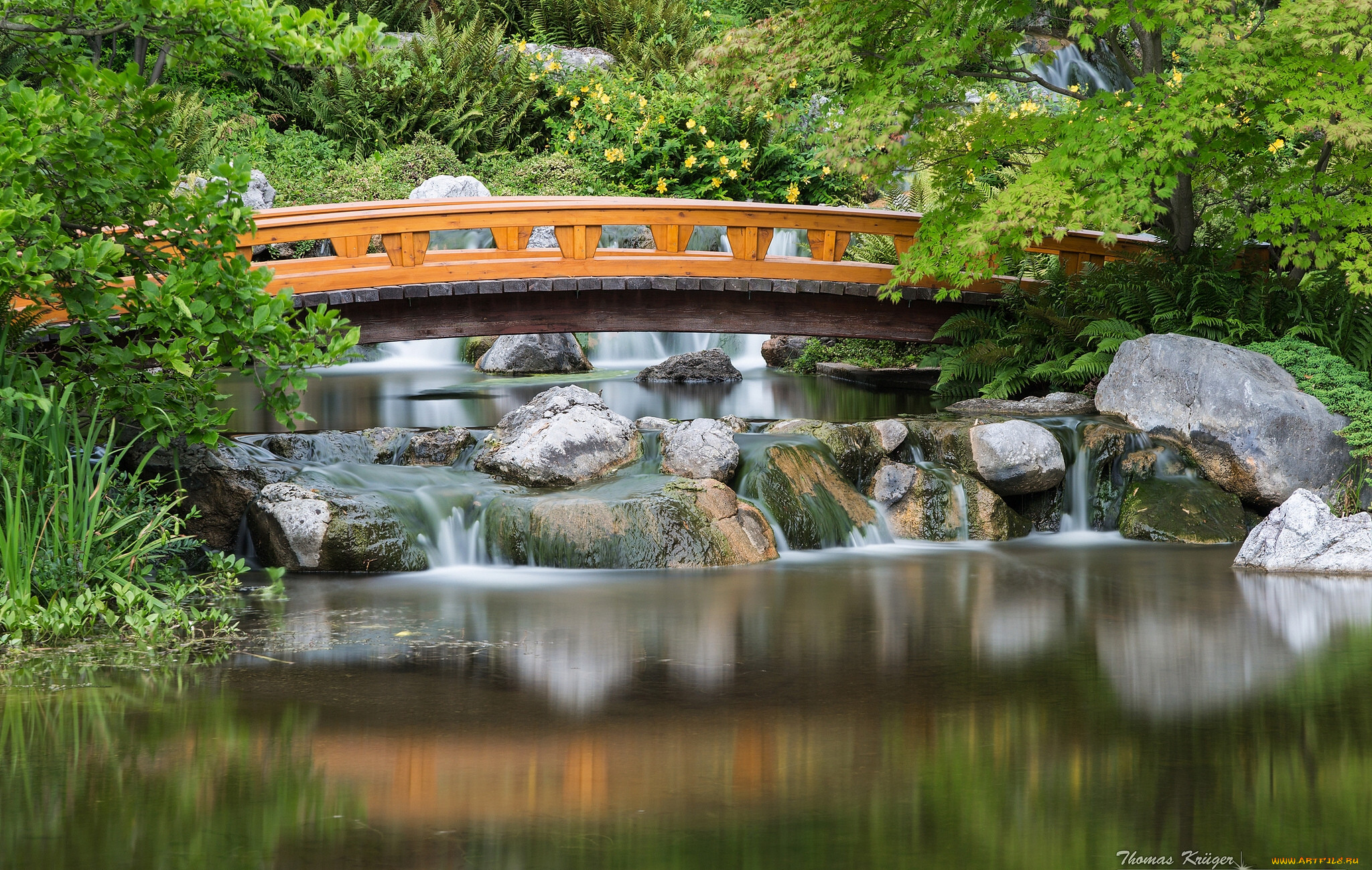 setagaya, park, japanese, garden, vienna, austria, , , , , , , , , 